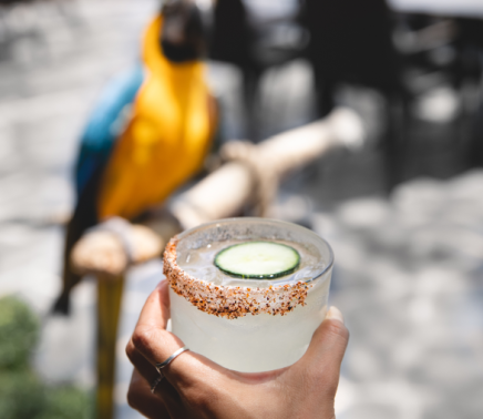 Margarita in hand with parrot in the background