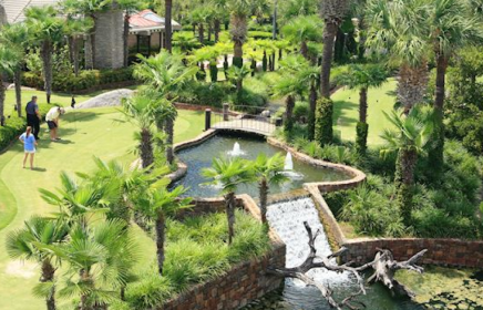 guests enjoying mini golf