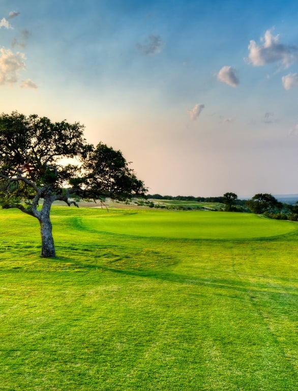 Large fairway and tree with blue and yellow sunset.