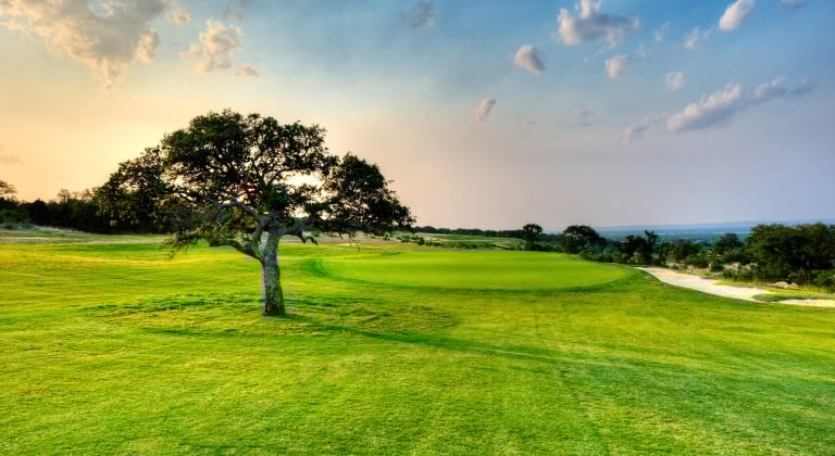 Large fairway and tree with blue and yellow sunset.