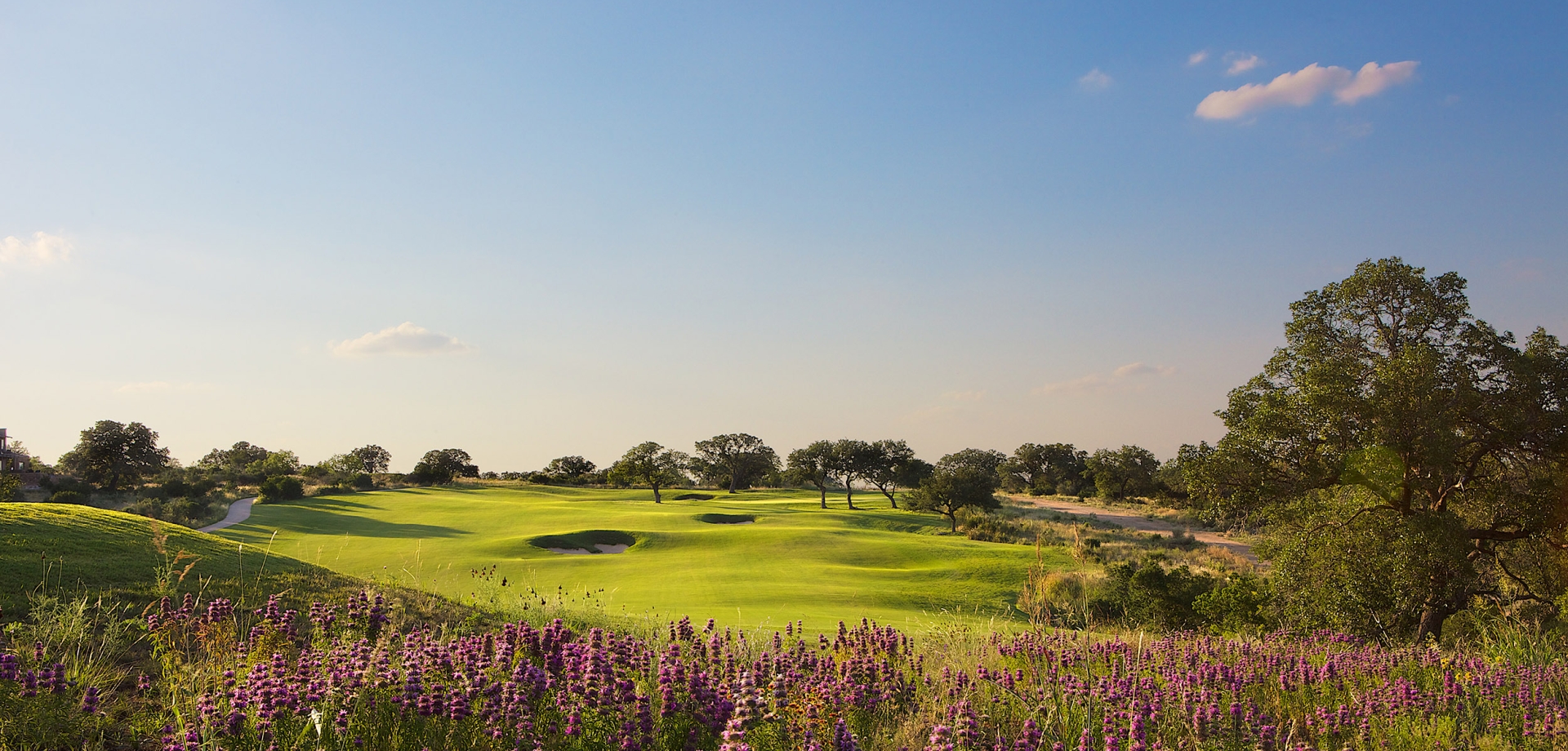 Beautiful purple flowers in the foreground over looking the fairway of one of our golf courses.