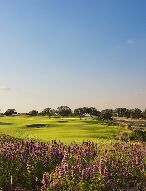 Beautiful purple flowers in the foreground over looking the fairway of one of our golf courses.