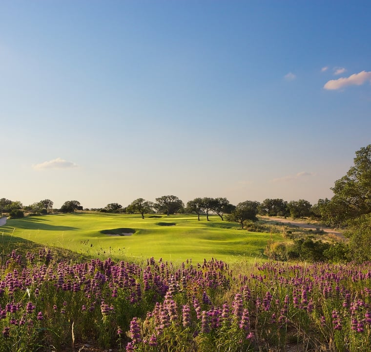Beautiful purple flowers in the foreground over looking the fairway of one of our golf courses.