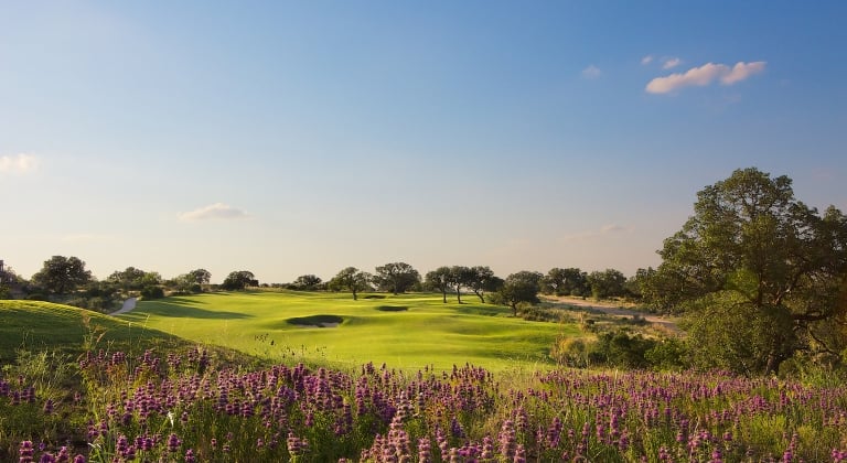 Beautiful purple flowers in the foreground over looking the fairway of one of our golf courses.