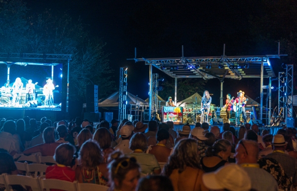 Large live concert with a view of the crowd enjoying the music