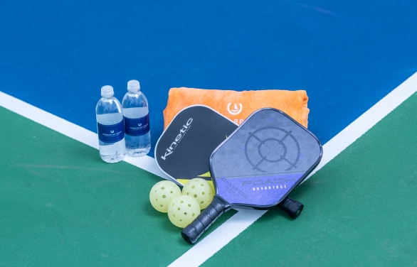 Pickleball close up 2