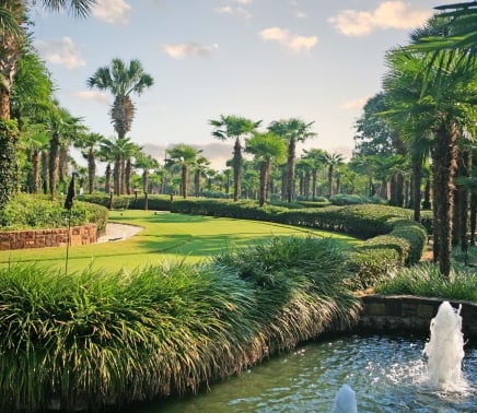 Putting course next to a fountain, palm trees in the background.