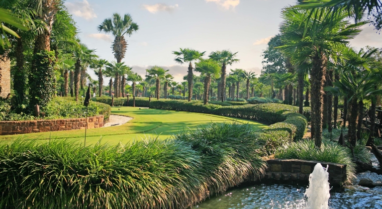 Putting course next to a fountain, palm trees in the background.