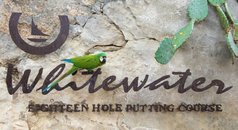 Whitewater Eighteen Hole putting course sign with green parrot standing