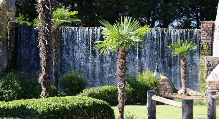 Waterfall with palm trees surrounding the putting green