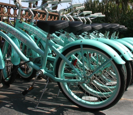 Bicycle-rentals-Summer rides with family