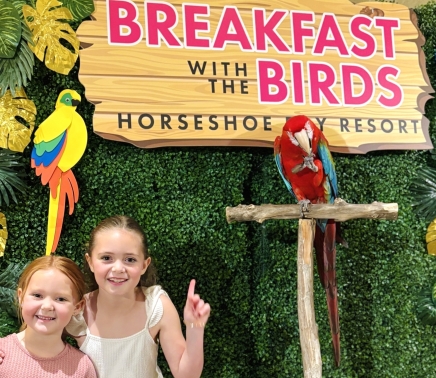 2 kids standing in front of a parrot for the breakfast with the birds at horseshoe bay resort